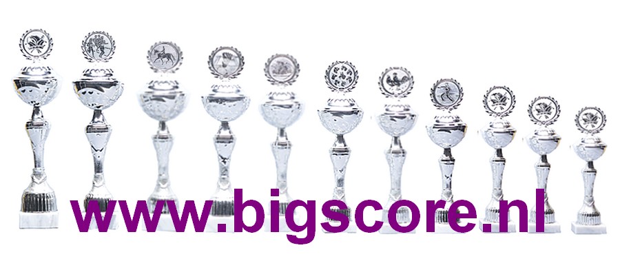 Z 633 Beker Zilver 11 delig